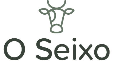 logo o seixo-png